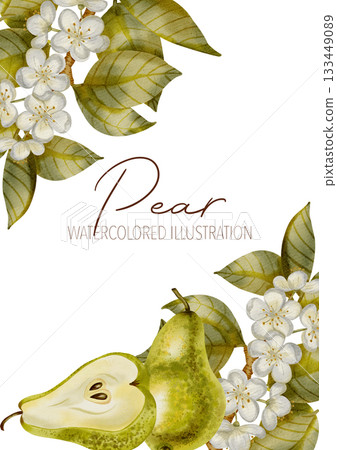 Watercolor frame with ripe pears andwith branches with flowers and leaves. Perfect for product logos, market posters, food packaging, textile patterns, and harvest-themed, Wedding invitations, menu 133449089