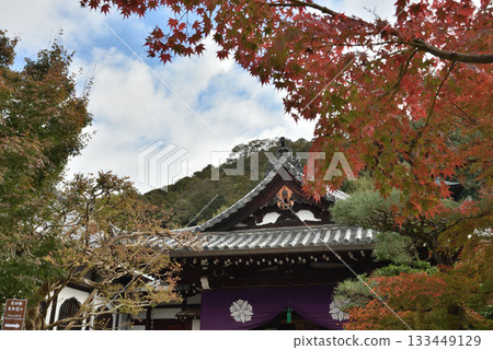 Autumn at Eikando Zenrinji Temple: The main entrance and maple trees (Sakyo Ward, Kyoto City) 133449129