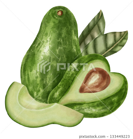 A hand-drawn watercolor illustration of an avocado composition with slices and leaves. Suitable for stores, cafes, packaging, menus, and products related to cooking, skincare, and health. 133449223