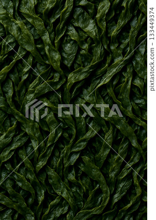 Wakame seaweed texture background 133449374