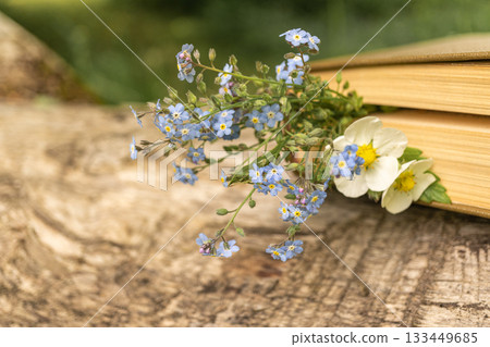 Wildflowers and book on wooden table outdoors in nature Wildflowers and book on wooden table outdoors in nature 133449685