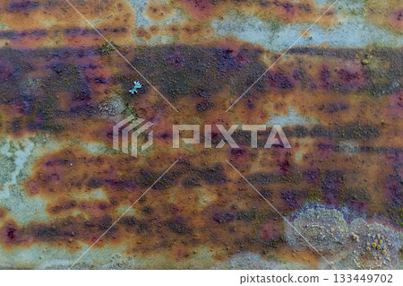 Close-up of rusty metal texture with moss and lichen growth 133449702