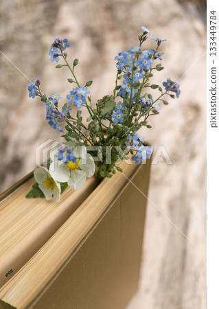 Wildflowers in hardcover book on wooden surface Wildflowers in hardcover book on wooden surface 133449784