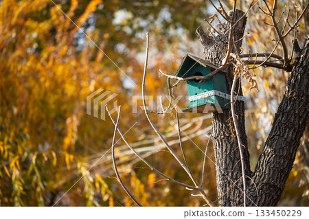 A birdhouse is perched on a tree branch A birdhouse is perched on a tree branch 133450229