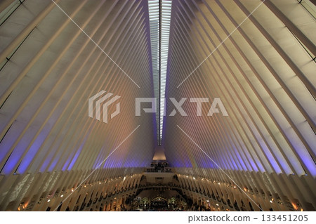 New York winter cityscape and Christmas illumination tourist scenery, Statue of Liberty, 9/11 Memorial, subway 133451205