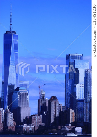 紐約冬季城市景觀和聖誕燈飾旅遊風景，自由女神像，9/11紀念館，地鐵 133451230