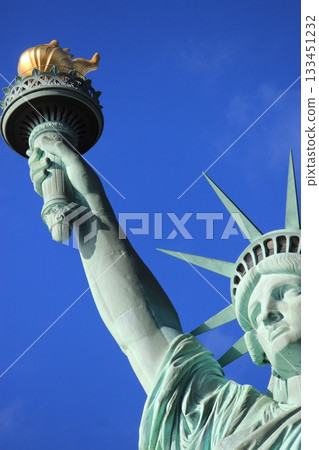 New York winter cityscape and Christmas illumination tourist scenery, Statue of Liberty, 9/11 Memorial, subway 133451232