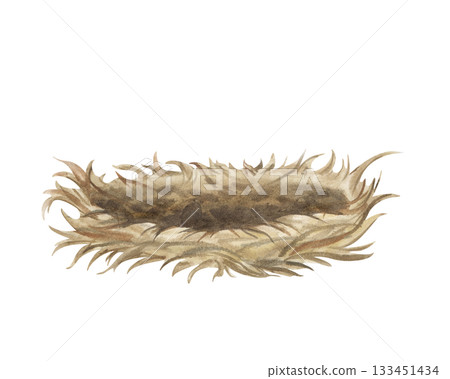 An empty hay nest for hatching eggs on an isolated background. Watercolor illustration in natural colors. Vintage realistic clipart of a round bird nest. 133451434