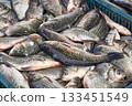 Fresh river fish crucian carp on a counter at the market 133451549