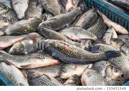 Fresh river fish crucian carp on a counter at the market Fresh river fish crucian carp on a counter at the market 133451549