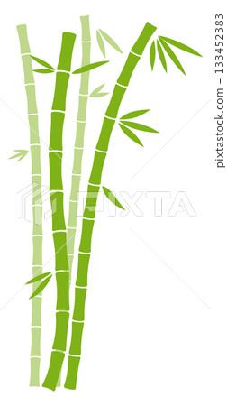 A bamboo plant with green leaves and brown stalks 133452383
