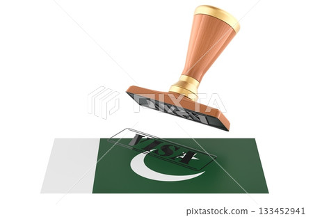 Pakistan visa stamp, wooden seal. 3D rendering Pakistan visa stamp, wooden seal. 3D rendering 133452941