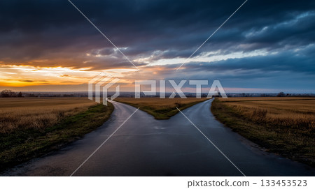 通往未來的岔路 133453523