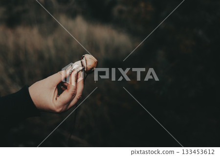 Hand holding a wild mushroom against a blurred natural background. A person's hand delicately holds a freshly picked mushroom The white mushroom 133453612