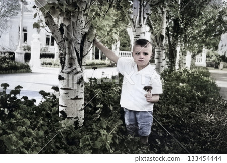 A vintage portrait of a boy near a birch tree. The boy holds a carnation in his hand. Retro photo from 1966. 133454444