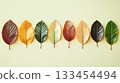 Seven colorful leaves are arranged in a row on a light background. Concept of autumn, nature, and diversity. For decor or educational materials 133454494