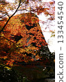 Gassho houses and autumn leaves 133454540