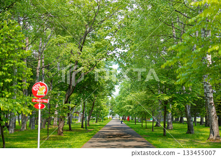 綠色的道路 133455007