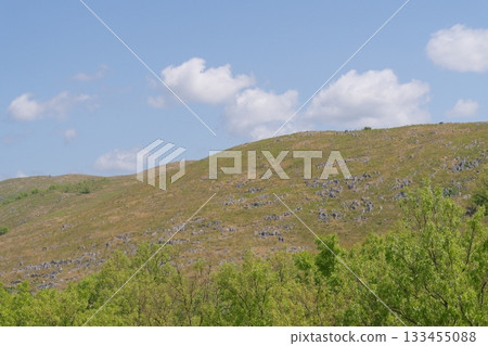 Akiyoshidai with dead grass in the spring of 2025 133455088