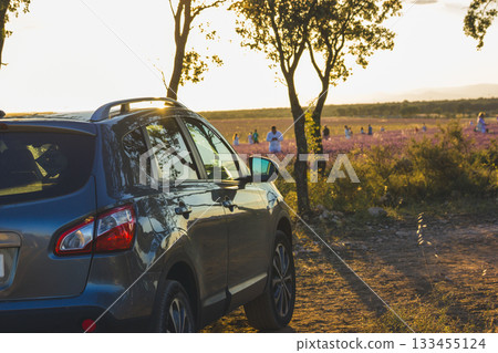 A grey car parked by trees at sunset overlooking a field. An automobile is parked near trees with the sun shining through the branches, overlooking a summer meadow. People can be seen in the distance. A grey car parked by trees at sunset overlooking a field. An automobile is parked near trees with the sun shining through the branches, overlooking a summer meadow. People can be seen in the distance. 133455124