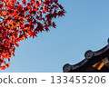 日本京都的秋楓樹與傍晚的藍天 133455206