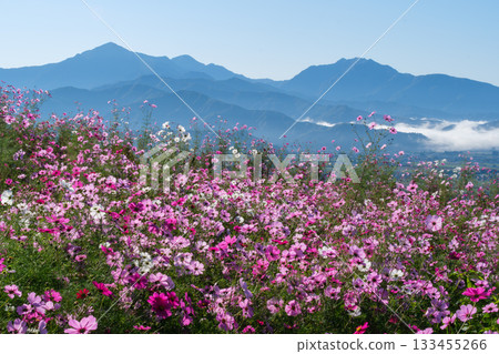 越後三山與宇宙場 越後三山與宇宙場 133455266