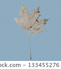 Vintage halftone maple leaf illustration created with black dots on a textured background. Retro botanical vector design element suitable for posters, prints, stickers, and modern graphic artwork. 133455276