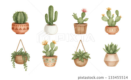 水彩仙人掌和多肉植物貼紙套裝 水彩仙人掌和多肉植物貼紙套裝 133455514