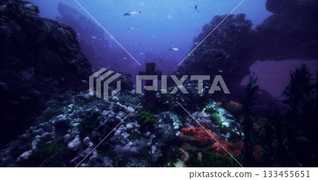Beneath the surface, a cross stands among colorful coral formations. Schools of fish swim by in a serene underwater environment teeming with life. Beneath the surface, a cross stands among colorful coral formations. Schools of fish swim by in a serene underwater environment teeming with life. 133455651
