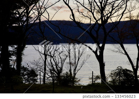 Winter lake view park 133456023