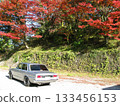 Vintage cars and autumn leaves 133456153