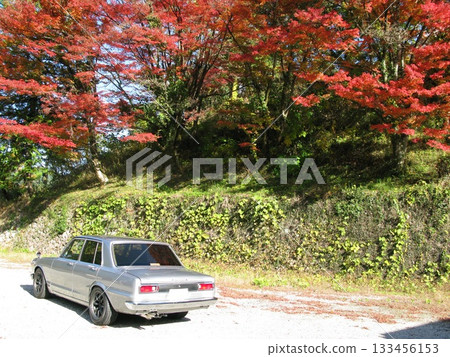 Vintage cars and autumn leaves Vintage cars and autumn leaves 133456153