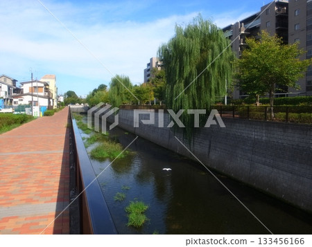 Shakujii River Shakujii River 133456166