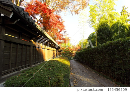 楓葉和寺廟的秋葉 133456309