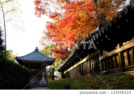 Sanmon wrapped in autumn leaves Sanmon wrapped in autumn leaves 133456310
