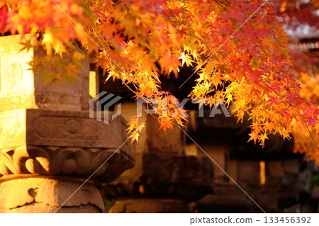 Japanese lanterns wearing autumn leaf hats 133456392