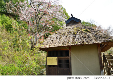 水磨坊、櫻花季、歷史遺跡、山吹之裡歷史公園、小護町 水磨坊、櫻花季、歷史遺跡、山吹之裡歷史公園、小護町 133456694