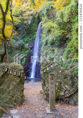 Yoro Falls in autumn (Gifu Prefecture) 133456820
