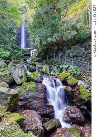 Yoro no Taki (Gifu) 133456824