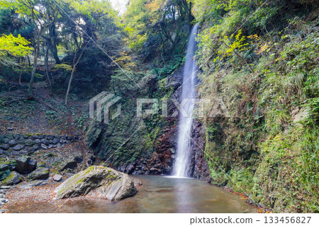 Yoro no Taki (Gifu) 133456827