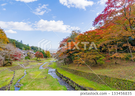 從不動橋上眺望養老公園美麗的秋葉（岐阜縣） 133456835