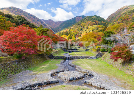 Beautiful autumn leaves at Yoro Park, view from Fudo Bridge (Gifu Prefecture) 133456839