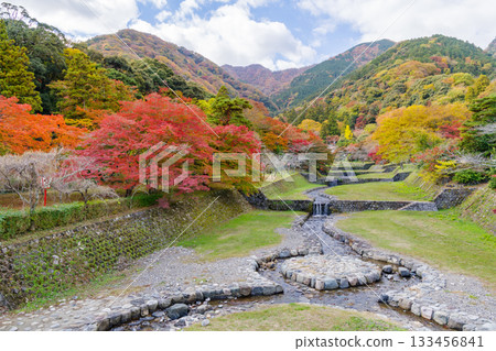 Beautiful autumn leaves at Yoro Park, view from Fudo Bridge (Gifu Prefecture) 133456841