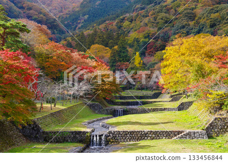 Beautiful autumn leaves at Yoro Park (Gifu Prefecture) 133456844