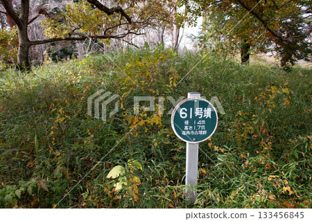 Chiba Prefecture Ryukakuji Burial Mounds, Tomb No. 61 Chiba Prefecture Ryukakuji Burial Mounds, Tomb No. 61 133456845