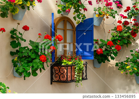 歐式風格的圍牆花園，點綴著藍色的窗戶和紅色的花朵 | 時尚明亮的外觀 133456895