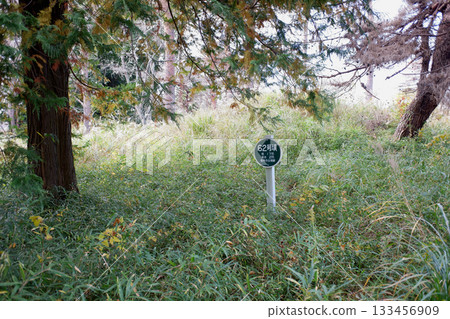 Chiba Prefecture Ryukakuji Tomb Group, Tomb No. 62 Chiba Prefecture Ryukakuji Tomb Group, Tomb No. 62 133456909