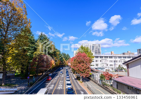 Sendai Nishikoen-dori in Autumn Sendai Nishikoen-dori in Autumn 133456961