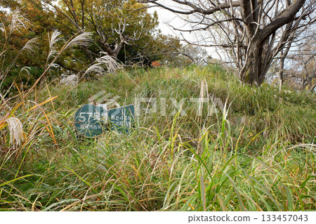 Chiba Prefecture Ryukakuji Tomb Group, Tomb No. 57 Chiba Prefecture Ryukakuji Tomb Group, Tomb No. 57 133457043