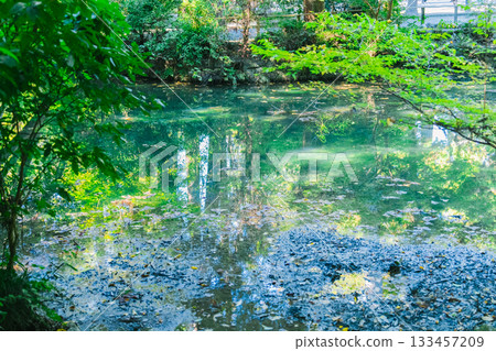 Scenery of the Ise Jingu shrine outside Scenery of the Ise Jingu shrine outside 133457209